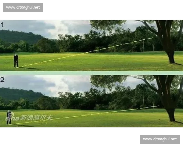 比赛用球的选择与性能分析对竞技水平提升的关键作用与发展趋势