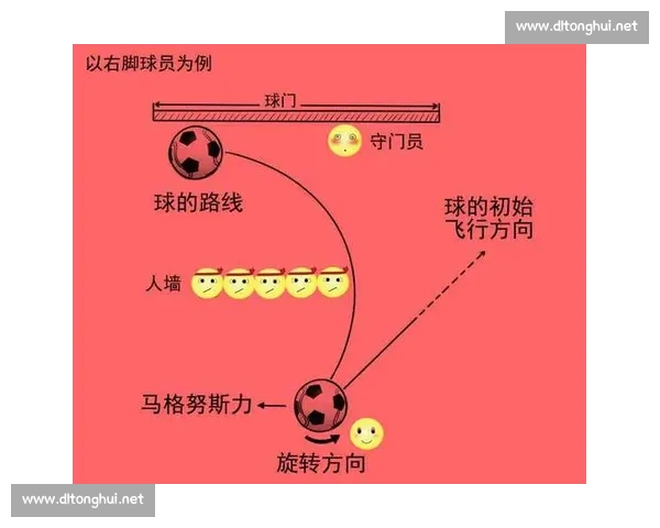 以训练用球为核心打造科学运动方案提升球技与体能的实用指南