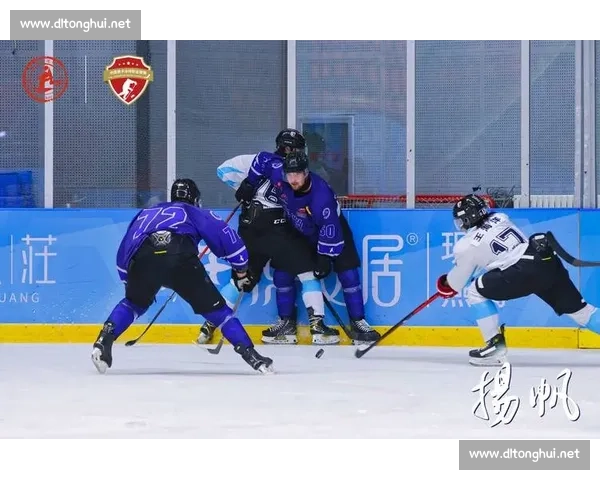 冰球运动发展历程与战术演变及全球职业联赛格局深度解析趋势展望 冰球运动发展历程与战术演变及全球职业联赛格局深度解析趋势展望